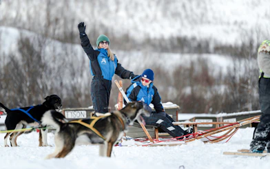 Guests dogsledding and visiting a kennel in snowy Tromso.