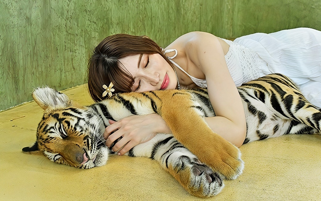 Woman resting beside a sleeping tiger cub at Tiger Kingdom experience.