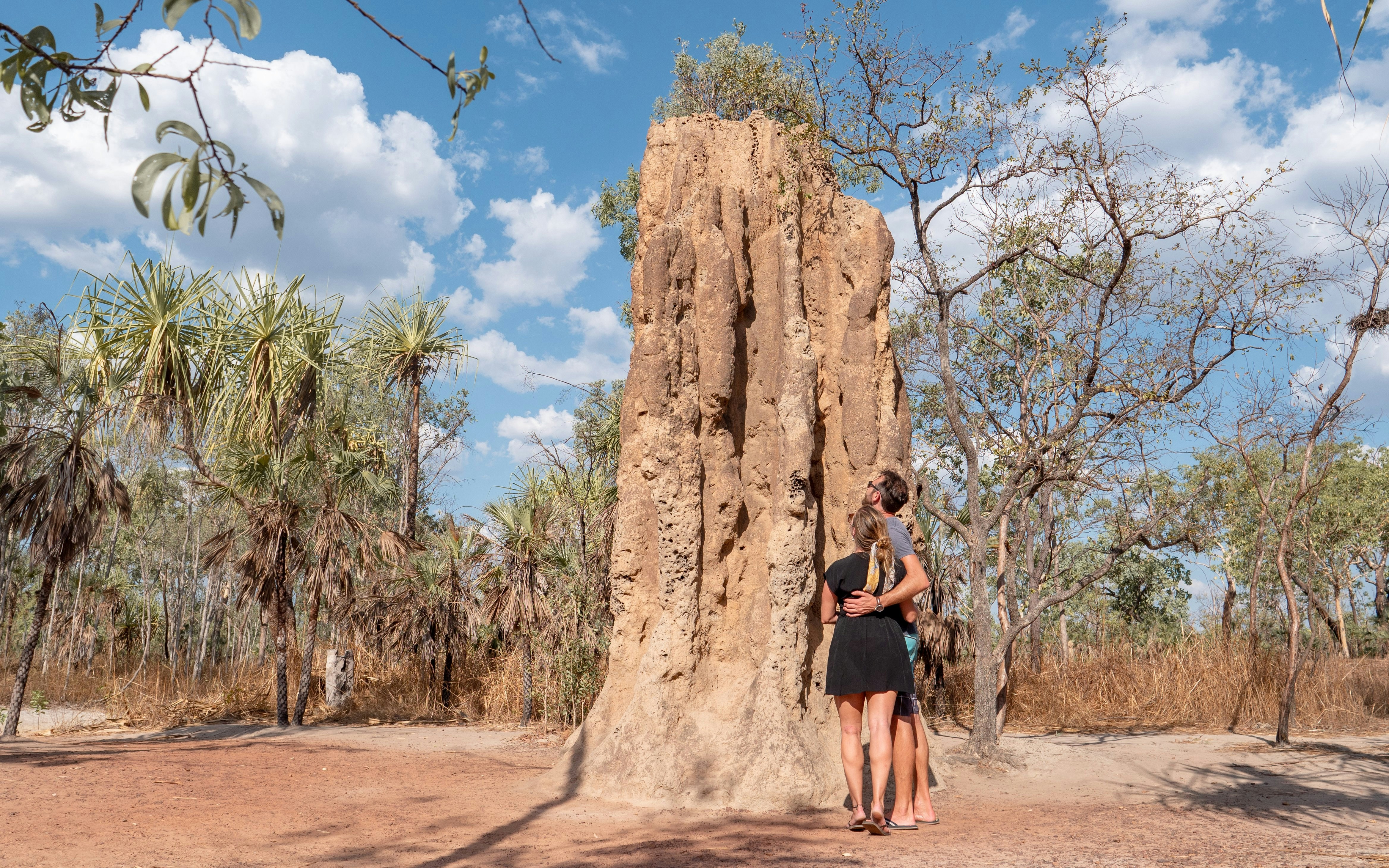 Couple observing large termite mound in national park setting.