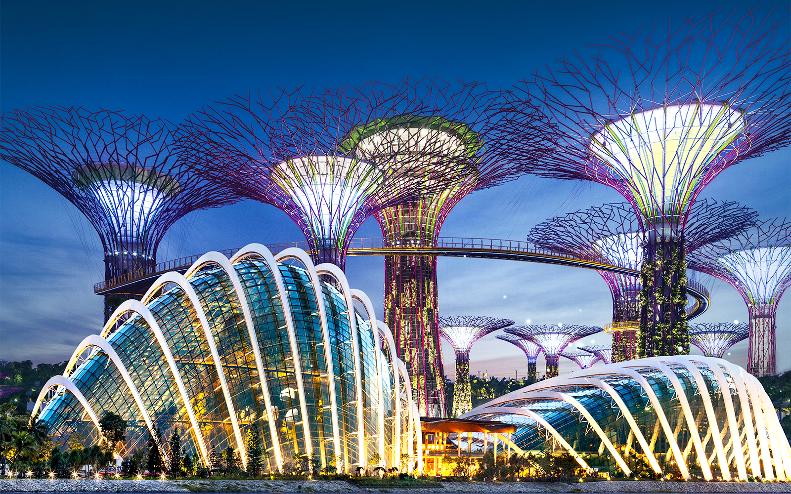 Combo (Save 10%): Universal Studios Singapore + Gardens by the Bay Tickets