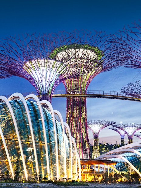 Gardens by the Bay Supertree Grove and Flower Dome in Singapore at dusk.