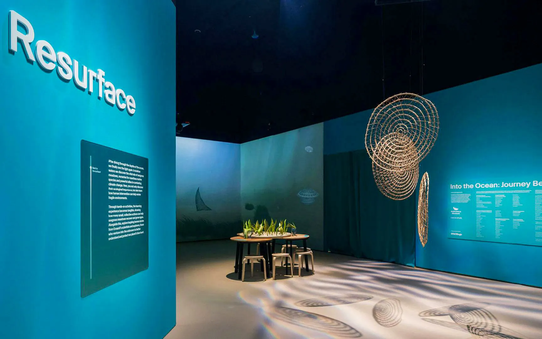 Into the Ocean: Journey Beneath" exhibition at ArtScience Museum, Singapore, featuring ocean-themed displays.