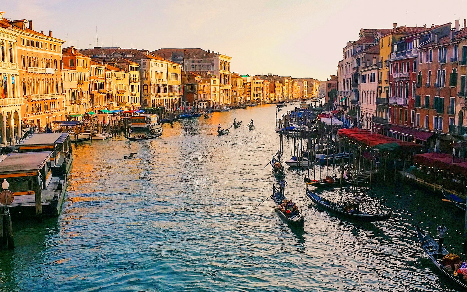 Gondolas on the Grand Canal in Venice during sunset.