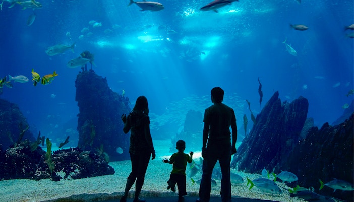 Tourists exploring marine life exhibits at Underwater World Pattaya