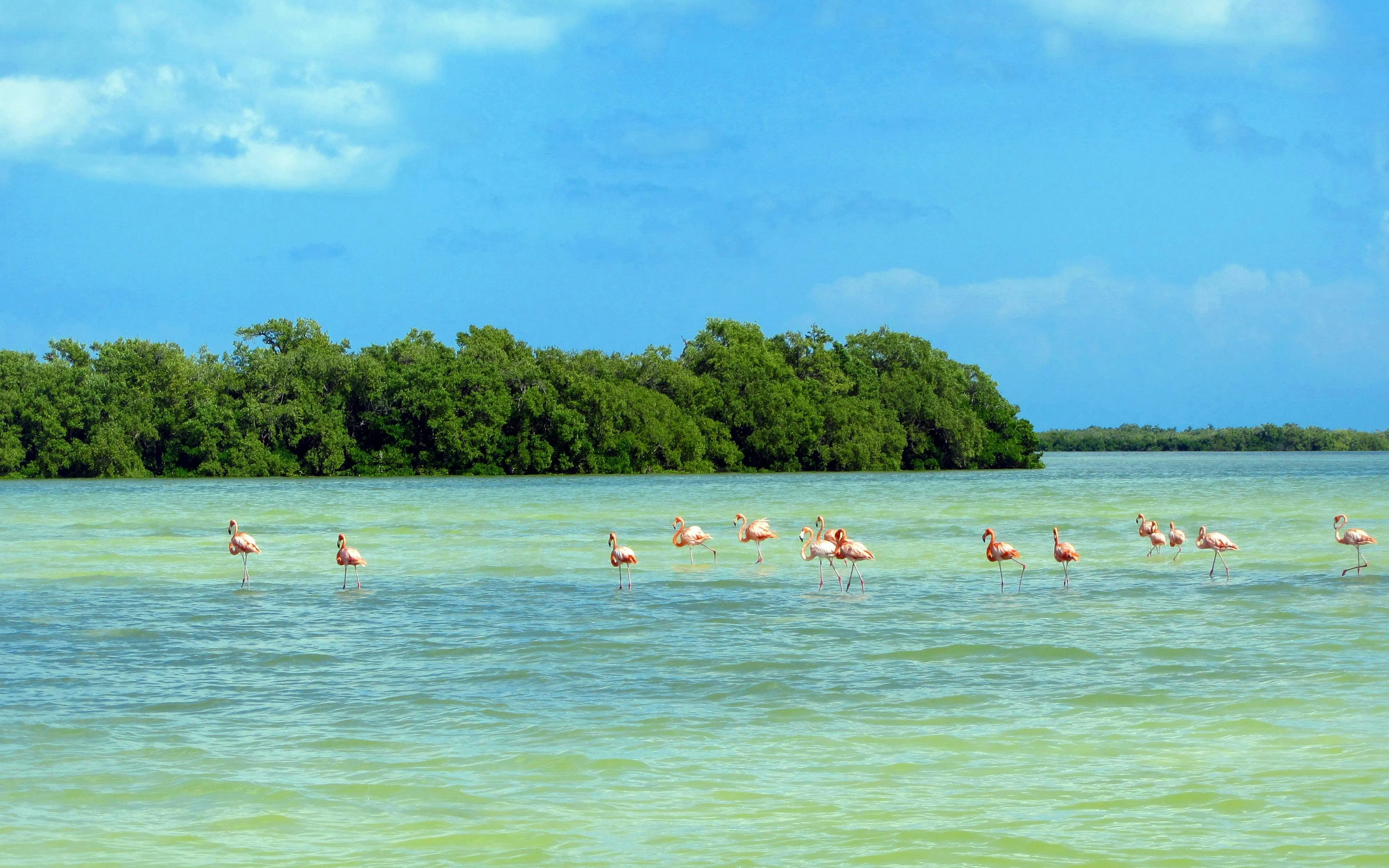 Isla Pasión