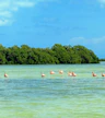 Isla Pasión