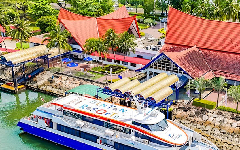 Ferry docked at Bintan Resorts terminal with red-roofed buildings and lush greenery.