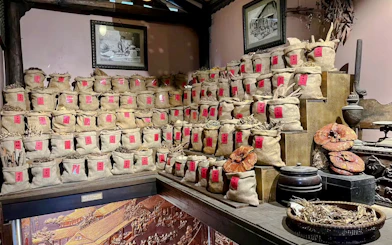 FITO Museum Guided Tour