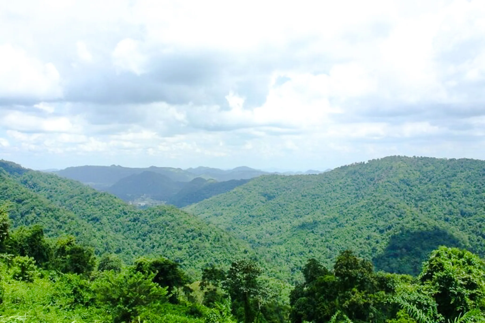 fra bangkok: dagstur til khao yai nasjonalpark i liten gruppe, inkludert inngangsavgift for nasjonalparken-1