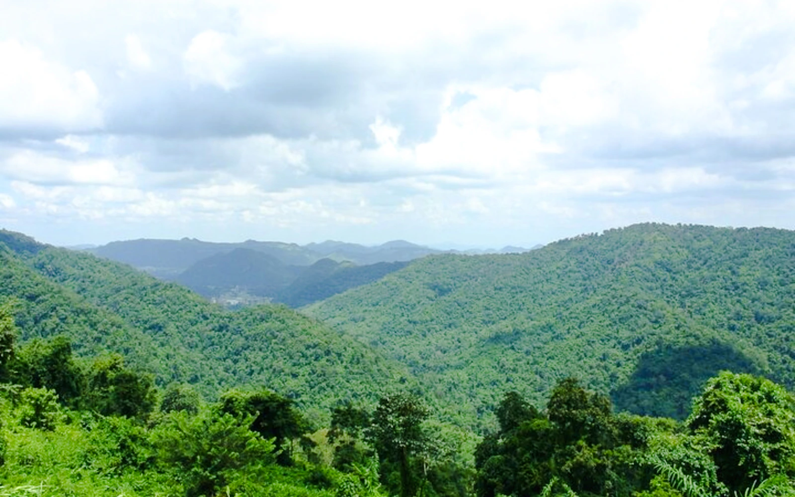 From Bangkok: Khao Yai National Park Small-Group Day Trip with Park Entrance Fee