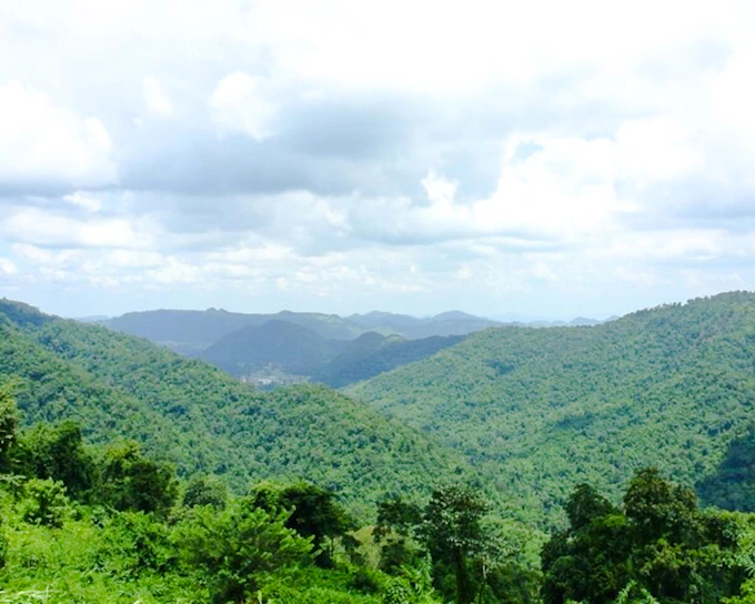 From Bangkok: Khao Yai National Park Small-Group Day Trip with Park Entrance Fee