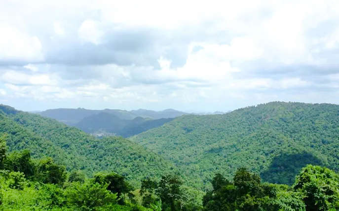 fra bangkok: dagstur til khao yai nasjonalpark i liten gruppe, inkludert inngangsavgift for nasjonalparken-1