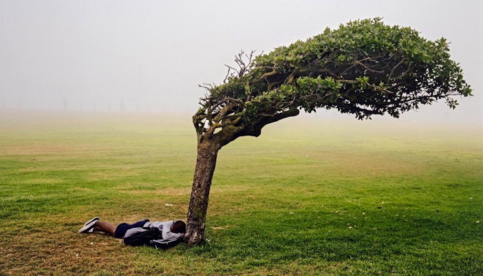 Person lying under a wind-swept tree in a foggy field, National Gallery of Victoria.