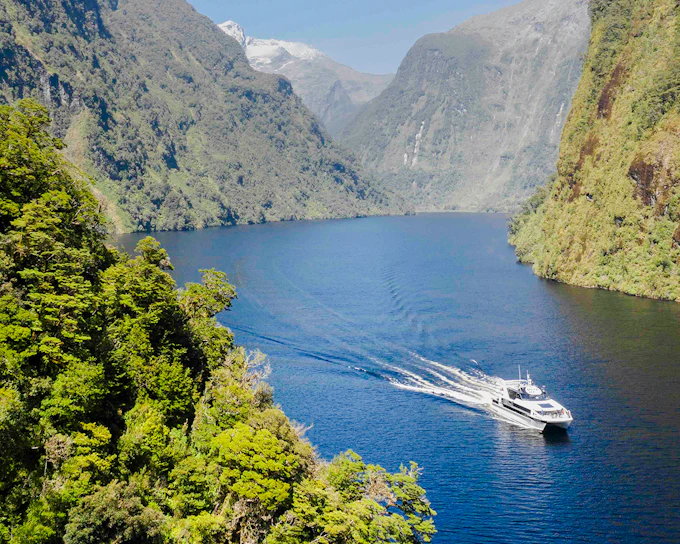 From Queenstown: Doubtful Sound Wilderness Cruise