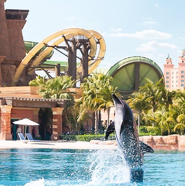 The ultimate guide to visiting Aquaventure Waterpark Dubai!