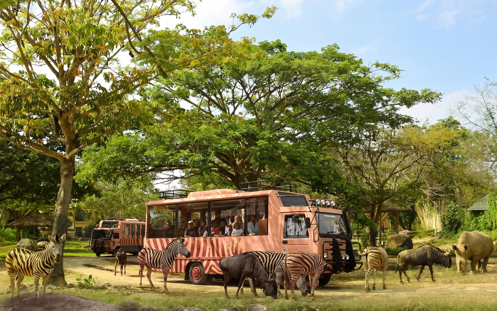 Safari bus with tourists observing zebras and rhinos at Taman Safari Bali.