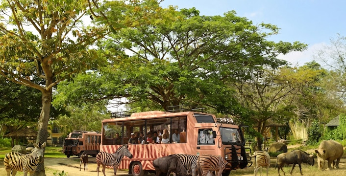 Bali Safari and Marine Park tickets & tours