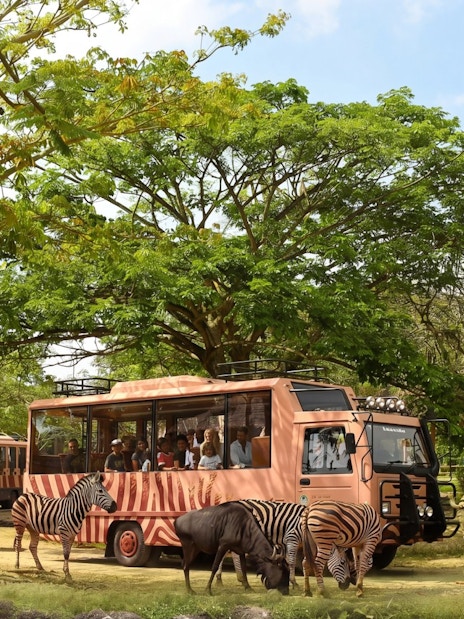 Safari bus with tourists observing zebras and rhinos at Taman Safari Bali.