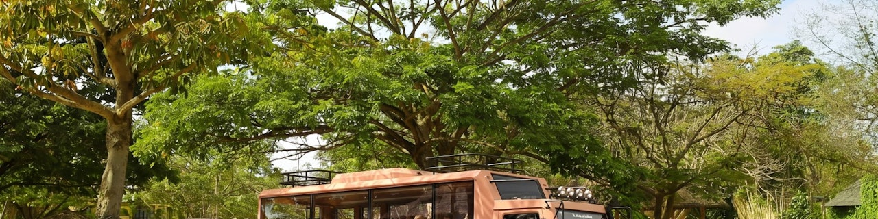 Biglietti per il Bali Safari Park: safari diurno/notturno e pasti facoltativi