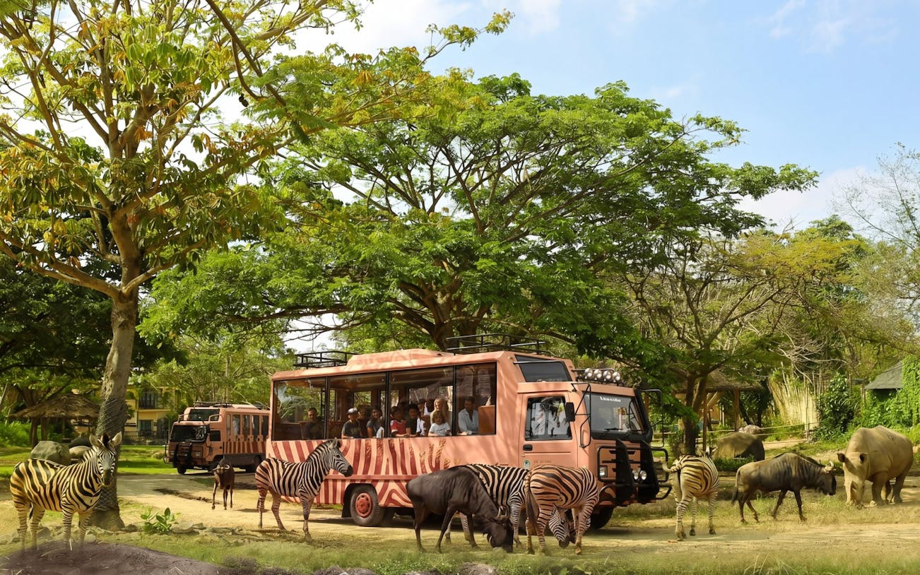 Safari bus with tourists observing zebras and rhinos at Taman Safari Bali.
