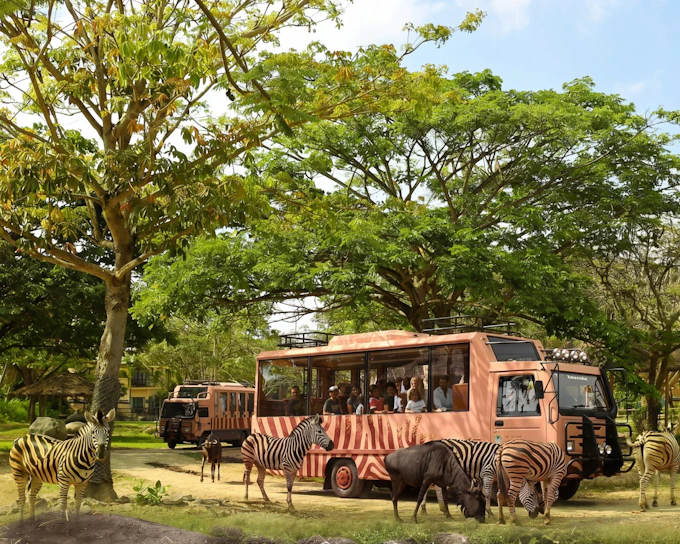 Bali Safari Park Tickets: Day/Night Safari & Optional Meals