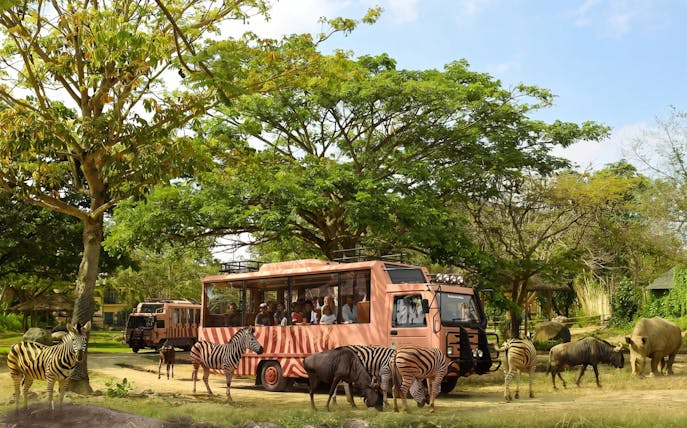 Safari bus with tourists observing zebras and rhinos at Taman Safari Bali.