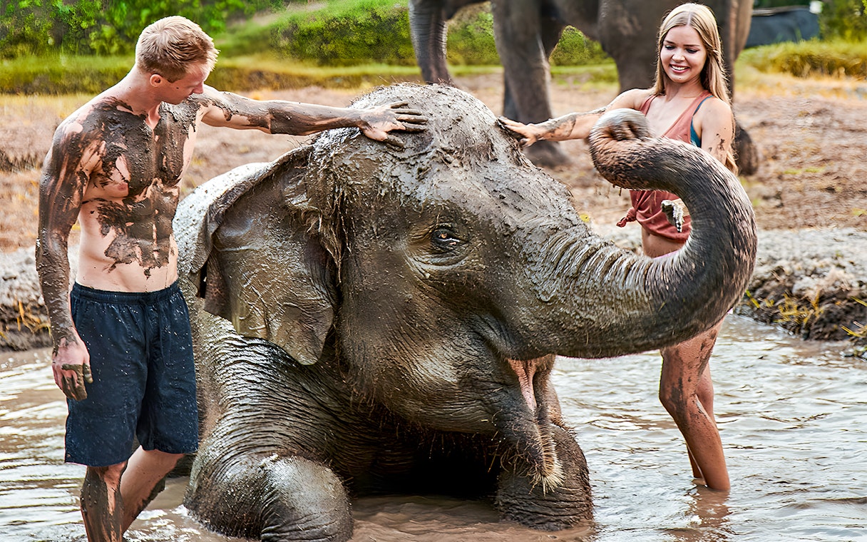 Young couple enjoying a mud bath with an elephant at Bali Zoo.