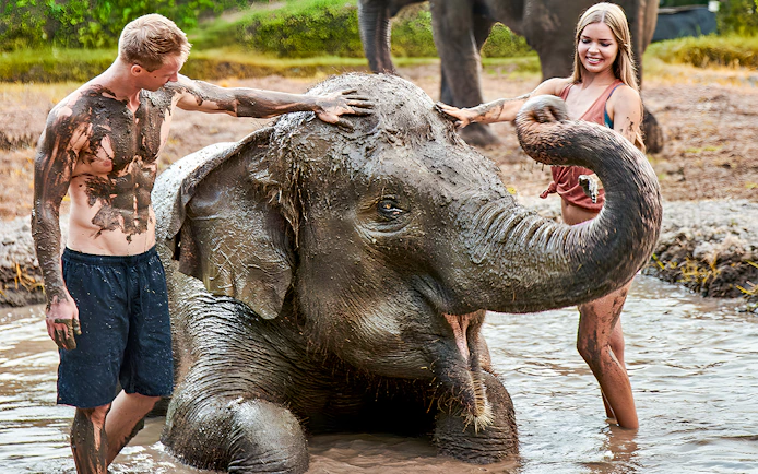 Young couple enjoying a mud bath with an elephant at Bali Zoo.