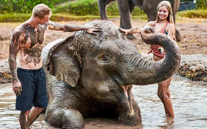 Young couple enjoying a mud bath with an elephant at Bali Zoo.