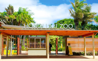 Honolulu Zoo entrance with tropical plants and clear sky.