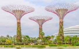 Gardens by the Bay