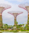 Gardens By The Bay