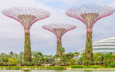 OCBC Skyway at Gardens by the Bay Singapore