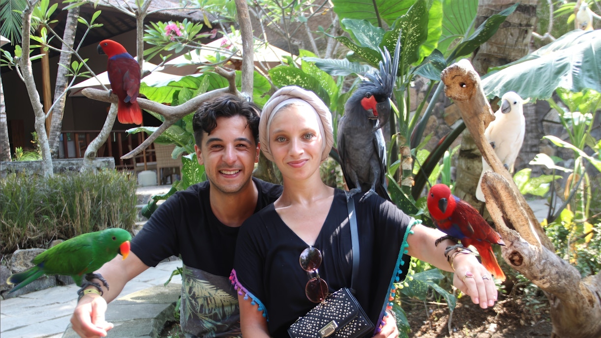 Couple with colorful birds at Lombok Wildlife Park, Indonesia.
