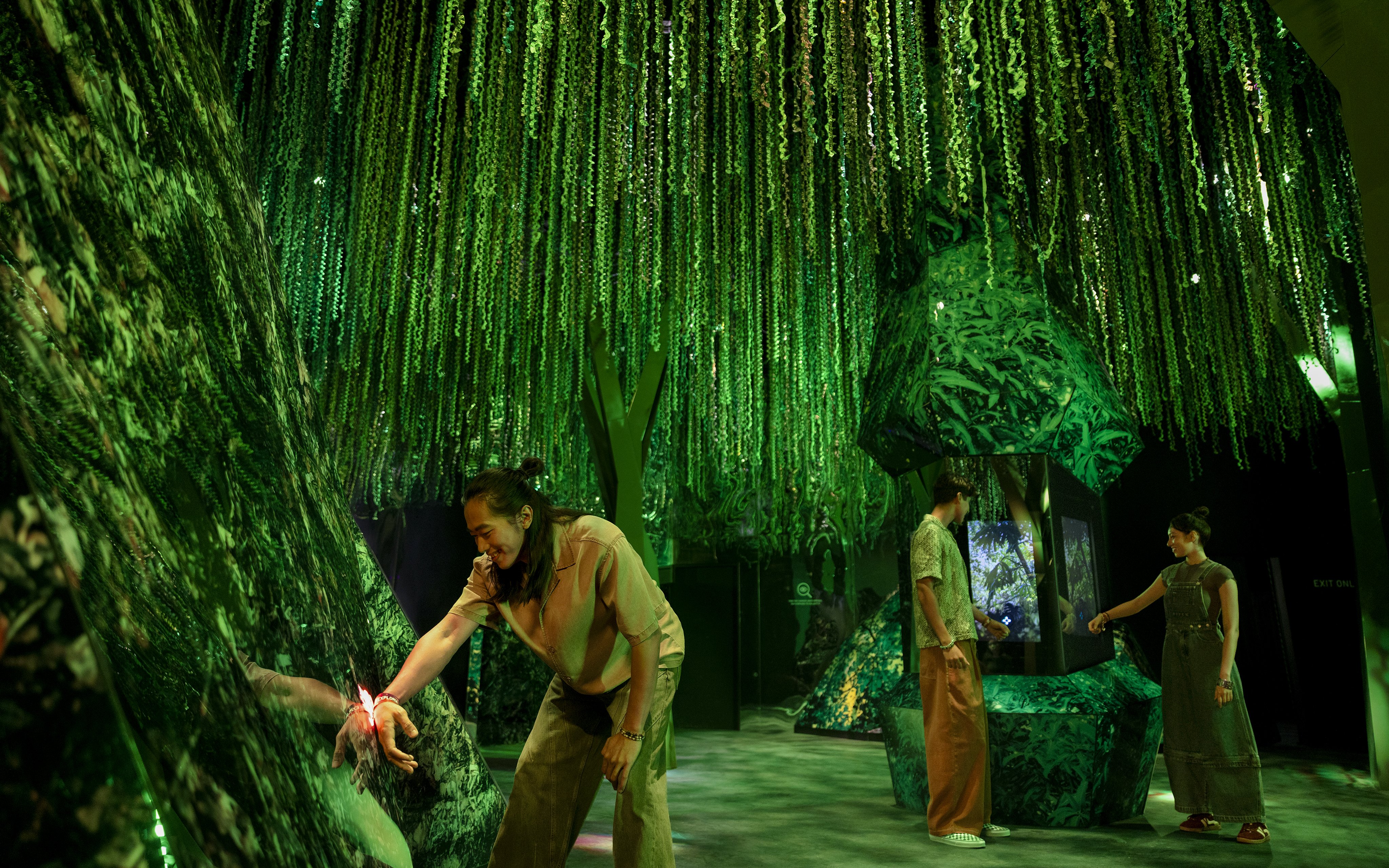 Visitors exploring the lush green rainforest exhibit at Exploria, Mandai Wildlife.