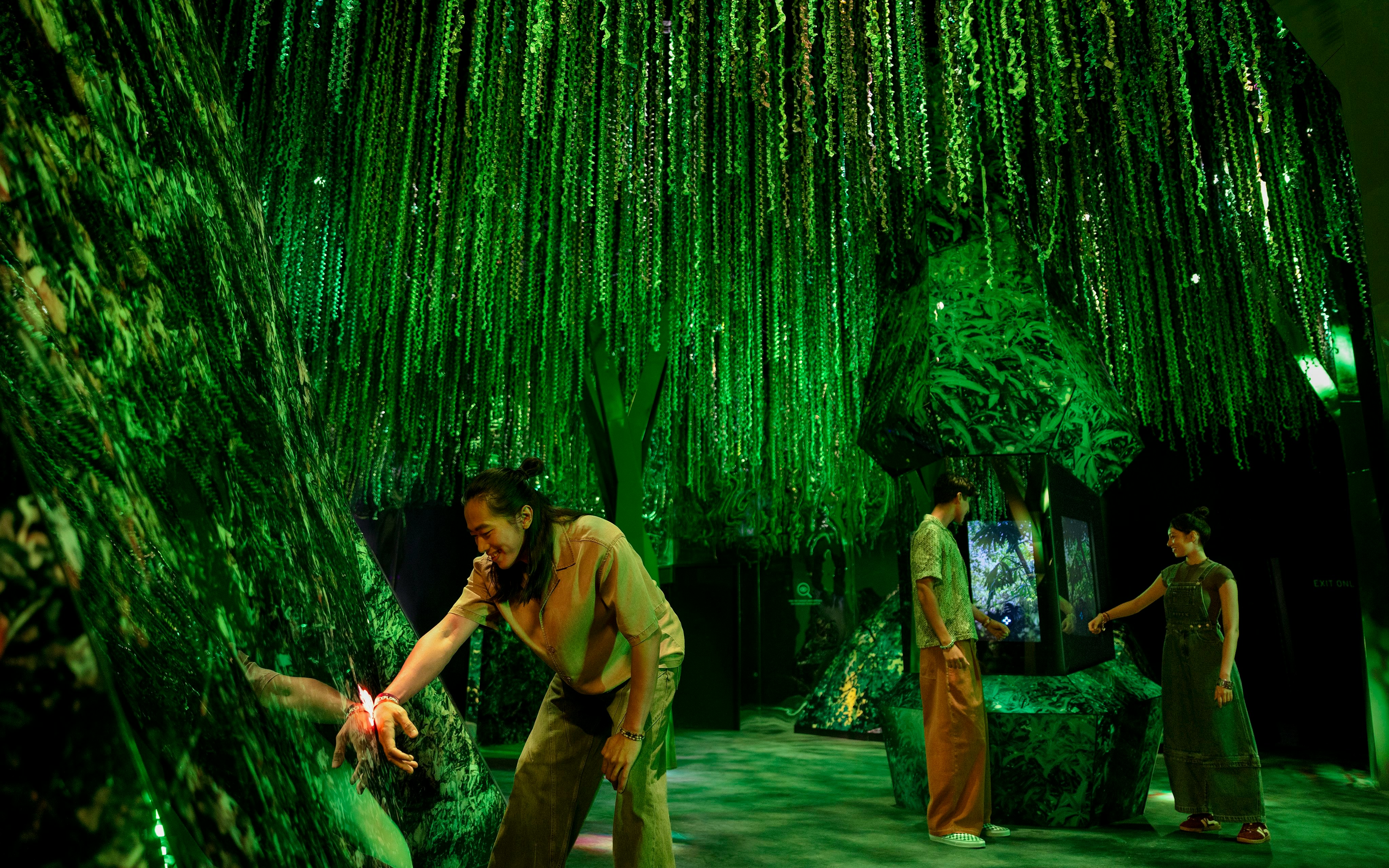 Visitors exploring the lush green rainforest exhibit at Exploria, Mandai Wildlife.