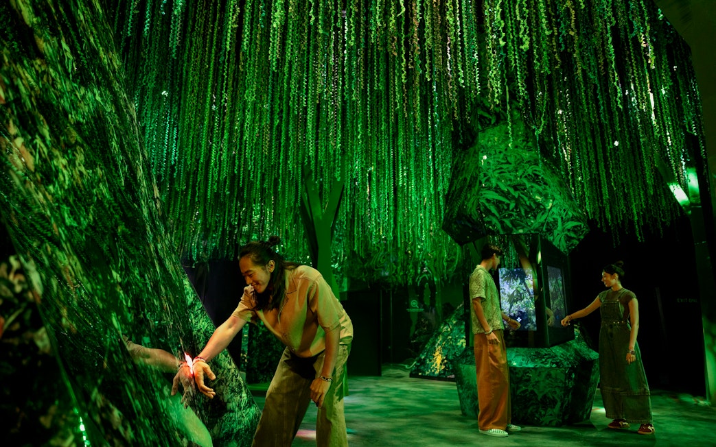 Visitors exploring the lush green rainforest exhibit at Exploria, Mandai Wildlife.