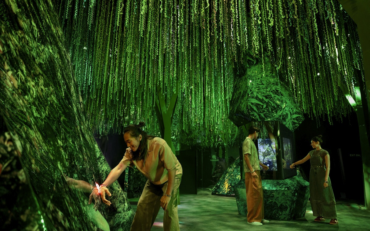 Visitors exploring the lush green rainforest exhibit at Exploria, Mandai Wildlife.