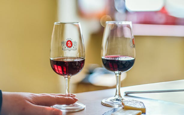 Wine glasses with red wine at Taylor's Port Wine Shop & Tasting Room.