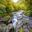 The Chasm (de kloof)