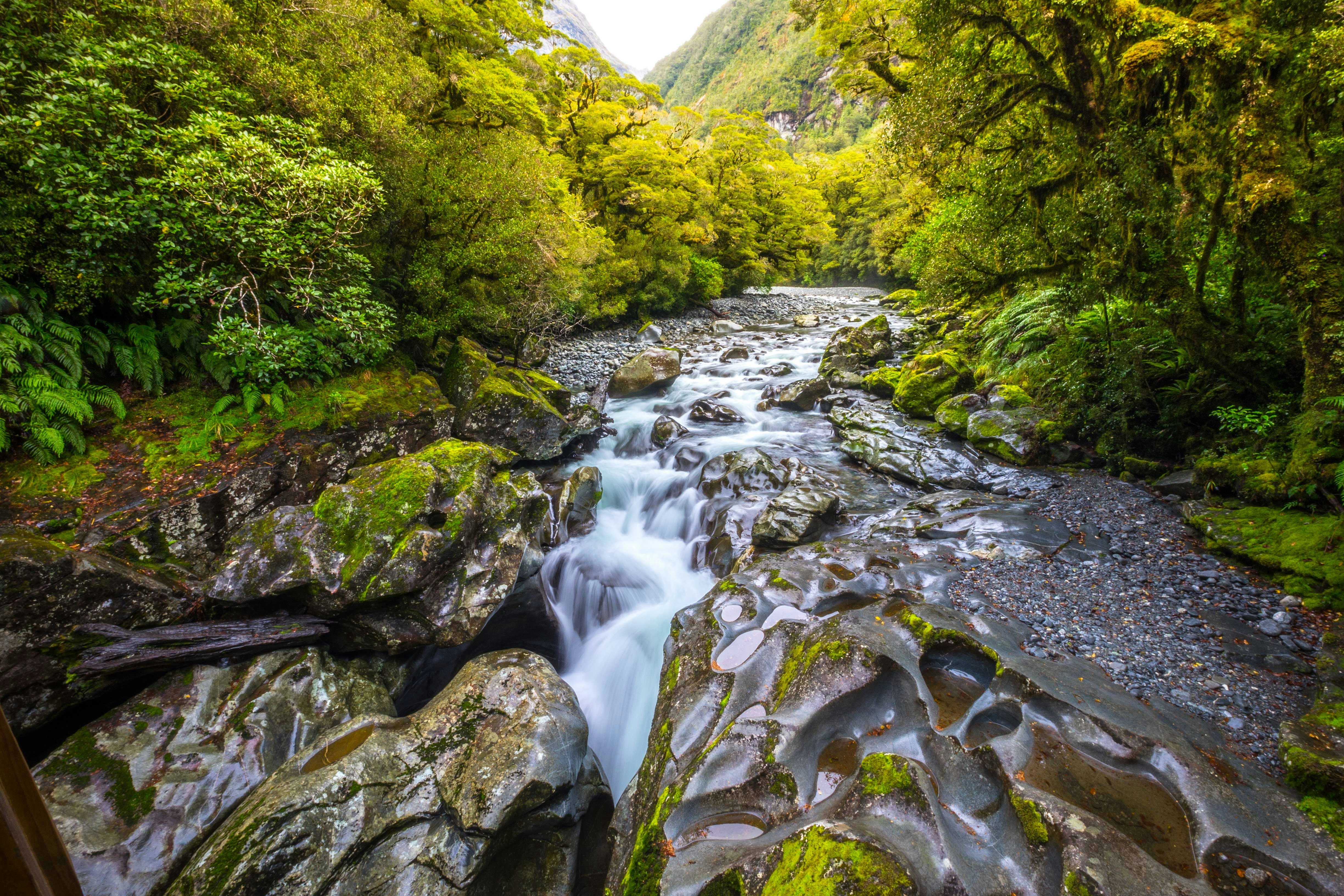 The Chasm Fall