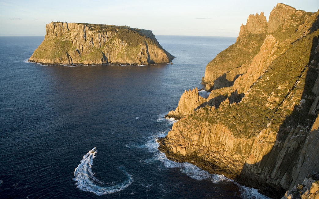 Cruise boat near Tasman Island cliffs on a full-day tour from Hobart.