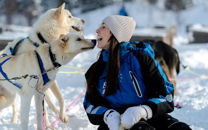 Guests interacting with sled dogs during a kennel visit in snowy Tromso.