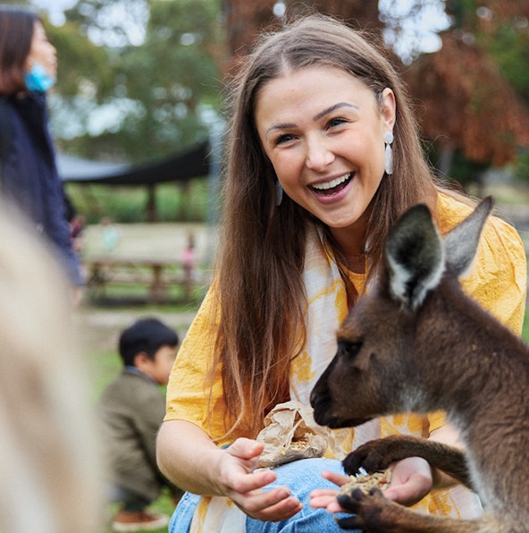 Exploring Ballarat Wildlife Park with this comprehensive guide