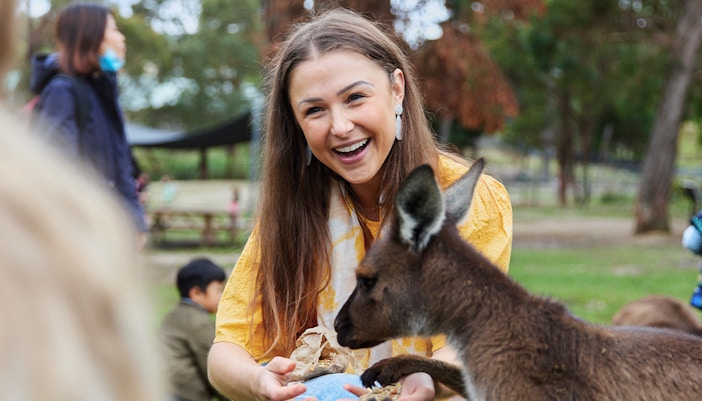 Woman feeding a kangaroo at Ballarat Wildlife Park, Melbourne.