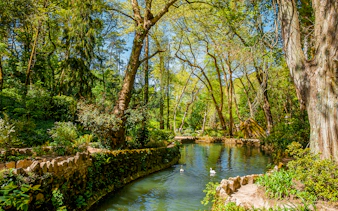 Pena Palace Park lake with swans and lush greenery in Sintra, Portugal.