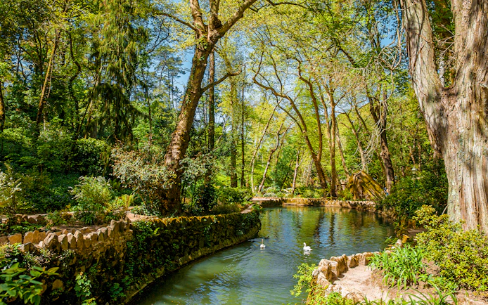 Pena Palace Park lake with swans and lush greenery in Sintra, Portugal.