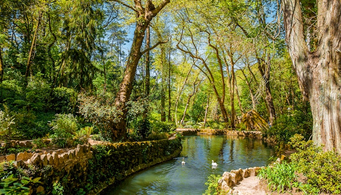 Pena Palace Park lake with lush greenery and reflection of trees in Sintra, Portugal.
