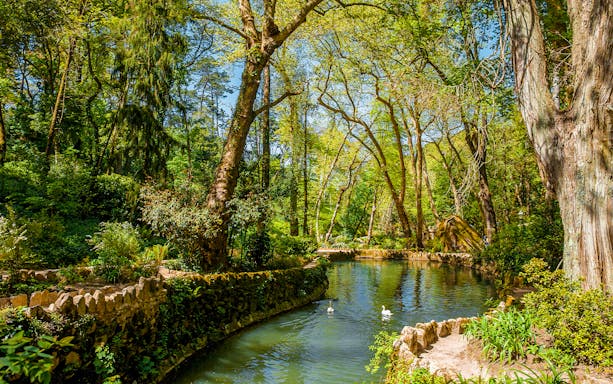 Pena Palace Park lake with swans and lush greenery in Sintra, Portugal.