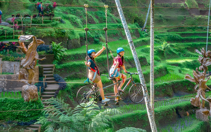 Tourists riding a sky bike over lush terraces at Alas Harum Bali.